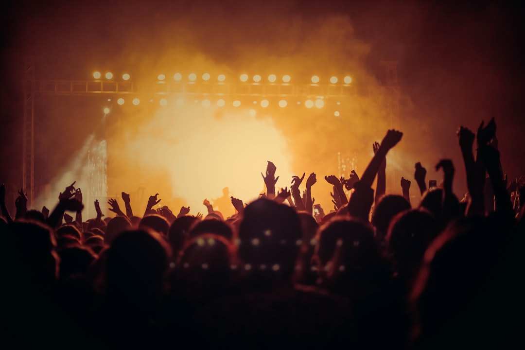 Music festival crowd